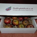 RealEnglishFruit Winter Wonder pack
